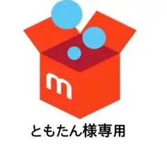☆ともたん様専用☆