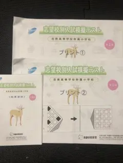 小学校受験　模擬テスト　洛南附属小学校