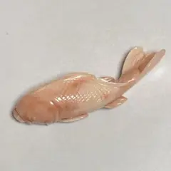 本珊瑚 帯留め ブローチ 鯉 7.3cm x 2.3cm 28g 限界価格