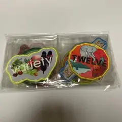Mrs. GREEN APPLE 10 GOODS ワッペン10種