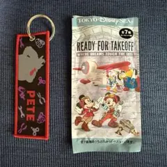 ディズニーシー ドリームテイクフライト フライトタグ ピート