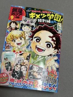 鬼滅の刃 特別編 9号