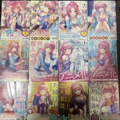 夫婦以上、恋人未満。 (1)〜(13)既刊全巻