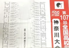夏 神奈川県大会 高校野球 第107回 選手権大会 トーナメント表 組み合わせ