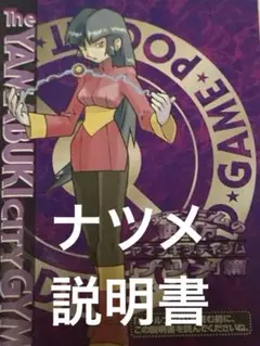 ポケモンジムの使い方　ヤマブキティジム　「ナツメ」篇　説明書　旧裏　当時物