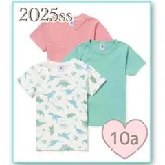 新品未使用 プチバトー 半袖Tシャツ 3枚組 10ans 恐竜
