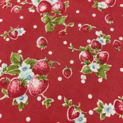 生地　YUWA 30's コレクション　ストロベリードット　赤