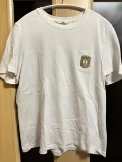 ZARA ワンポイント　Tシャツ
