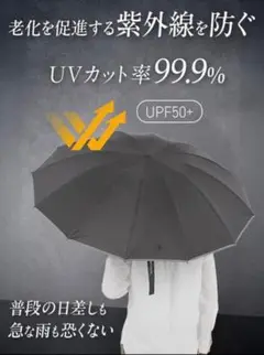 【VariTerras】メンズ用特大サイズ／日傘にも使えて頑丈12本骨