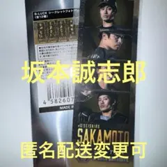 【坂本 誠志郎】 B-LUCK フォトグレイ