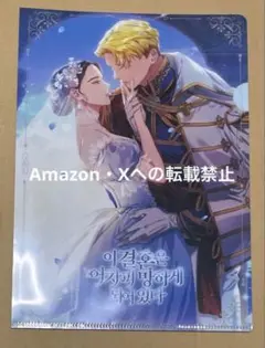 【匿名配送】この結婚はどうせうまくいかない　クリアファイル