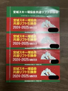 宮城スキー場共通リフト券2枚 宮城県内スキー場共通リフト券販売！ | マウンテンフィールド
