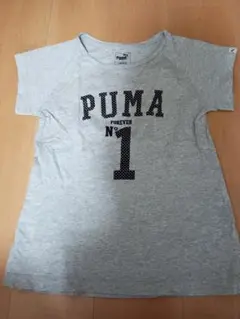 PUMA グレー Tシャツ 160