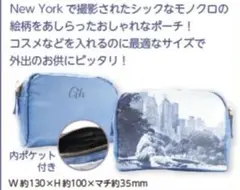 今期　2025ツアーグッズ 新品未使用 郷ひろみさん　ニューヨークポーチ