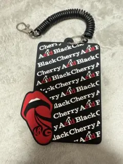 【Acid Black Cherry】ツアー 限定☆パスケース Acid Black Cherry】ツアー 限定☆パスケース