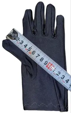 Item thumbnail for item 57906243-d6fb-4b52-8ecc-4e1e2246541f