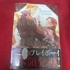 この結婚はどうせうまくいかない 2