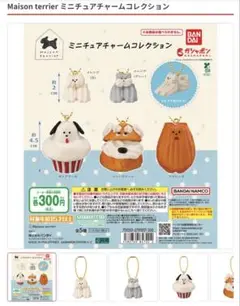メゾンテリア　ガチャガチャ　ミニチュアチャームコレクション　セット　カプセルトイ