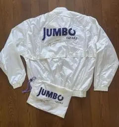 Item thumbnail for item 05cf16fd-4533-49ee-97e6-35938ac4c1ec