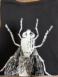 Item thumbnail for item 177ab5e2-625c-4892-85e5-a846b51e9fea