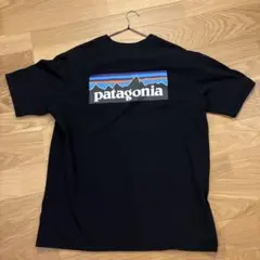 patagonia 黒 Tシャツ バックロゴ　ポケットT