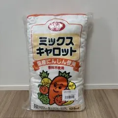 Item thumbnail for item a4267786-0c98-4169-9bd2-fc390cbc9632