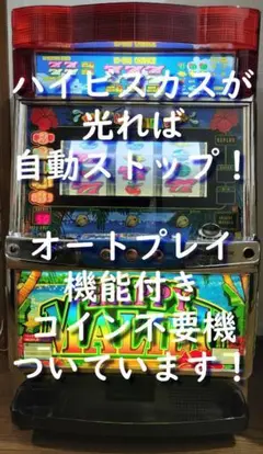 裏モノ4号機 パイオニア シオサイ30 リプピカver. オートプレイ ハイハイシオサイ30（パイオニア、沖スロ4号機） - まにあっく懐