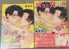 メスお兄さんは超えてゆけ リーフレット付き