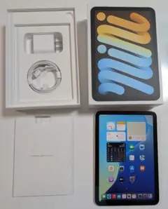 美品　海外版シムフリーiPad mini 第6世代 　スターライト256GB