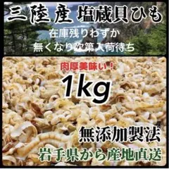 【産地直送】三陸産 塩蔵貝ひも500g×2袋 大容量1kg 帆立 ホタテ