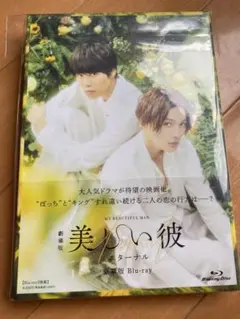 美しい彼 Blu-ray2組+パンフレットセット 美しい彼 美しい彼2 美しい彼～eternal～ 豪華版 Blu-ray セット