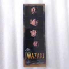 阪神タイガース 岩崎優 フォトグレイ