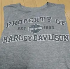 HARLEY-DAVIDSON Tシャツ