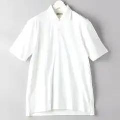 美品! SOVEREIGN ソブリン C/MAX ワイドカラー ポロシャツ