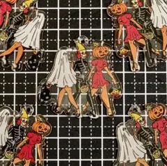【プラ板】ハロウィン美女たち