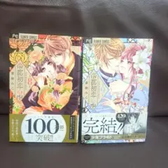 帝都初恋心中⑧⑨