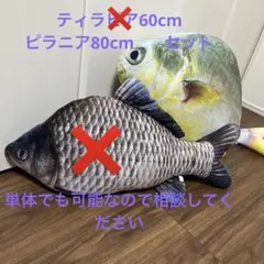Item thumbnail for item 618d9f6f-8b07-42bc-aaeb-8c701400ae43
