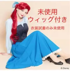 最終値下げ♪正規品 未使用 シークレットハニー キスガ アリエル ウィッグ