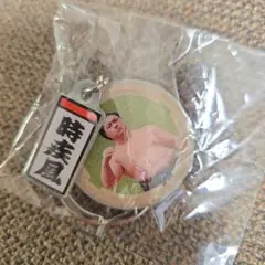 大相撲ガチャ　琴櫻関