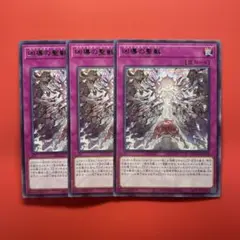 遊戯王　凶導の聖獣　3枚　DOOD