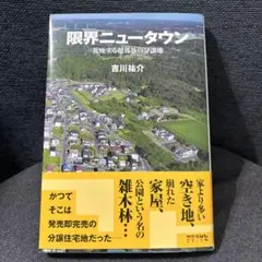 限界ニュータウン / 吉川祐介