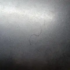 Item thumbnail for item a9c6e5ac-2286-4004-842f-df86334b7d1f