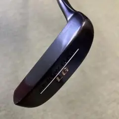 ARROWTUBE LG L字パター 34インチ 486g