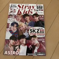 Stray Kids SKZ音楽写真集 A4サイズ
