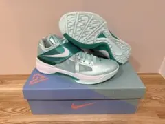 [希少] Nike zoom KD4