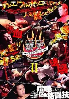 STREET FIGHT TEPPEN II 日本版 DVD