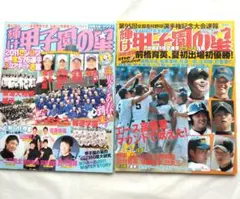 輝け甲子園の星 　2冊セット