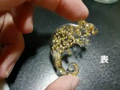 ゴールドカメレオン
