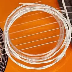 Item thumbnail for item 8286830b-a159-489b-ad32-b0fa1396b5f0