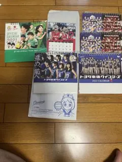 Vリーグ　カレンダー　過去の商品まとめて